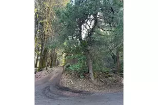 995 Parry Rd, Falls City, OR 97344 - Photo 6