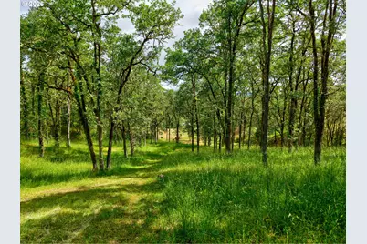 445 Green Valley Rd, Oakland, OR 97462 - Photo 8