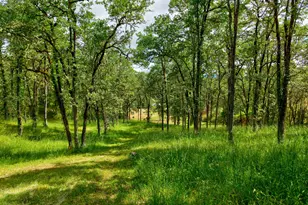 445 Green Valley Rd, Oakland, OR 97462 - Photo 8