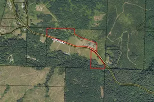 37886 S Wilhoit Rd, Molalla, OR 97038 - Photo 42