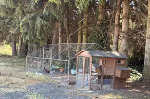 95069 Toftdahl Rd, Junction City, OR 97448 - Photo 40
