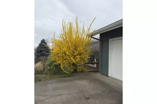 3138 NE 158th Ave, Portland, OR 97230 - Photo 38