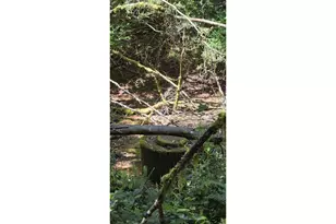 96026 Sundown Dr, Brookings, OR 97415 - Photo 18