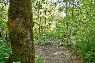 4500 Hart Rd, Dallas, OR 97338 - Photo 42