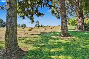 39800 Mertz Dr SE, Stayton, OR 97383 - Photo 26