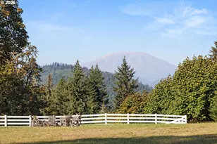 [Address not provided], Amboy, WA 98601 - Photo 8