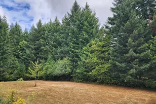 25033 S Beeson Rd, Beavercreek, OR 97004 - Photo 46