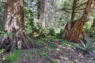 9320 Nehalem Rd, Manzanita, OR 97130 - Photo 38
