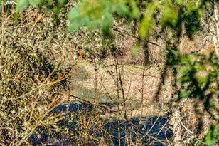 16015 SW Audubon St, Beaverton, OR 97003 - Photo 42