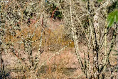 16015 SW Audubon St #101, Beaverton, OR 97003 - Photo 44