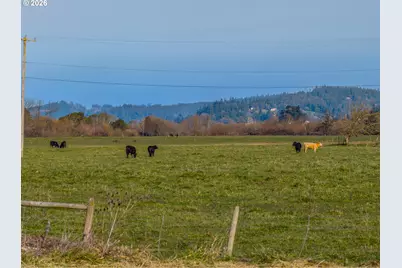 93703 Lower Norway Ln, Myrtle Point, OR 97458 - Photo 34