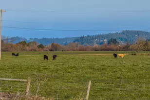 93703 Lower Norway Ln, Myrtle Point, OR 97458 - Photo 34