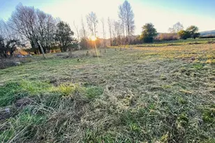 93703 Lower Norway Ln, Myrtle Point, OR 97458 - Photo 42