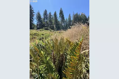 000 Fawn Ln #1300, Coos Bay, OR 97420 - Photo 32