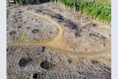 Camp Creek Rd, Springfield, OR 97478 - Photo 6