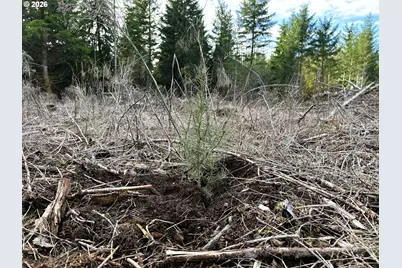 Camp Creek Rd, Springfield, OR 97478 - Photo 26