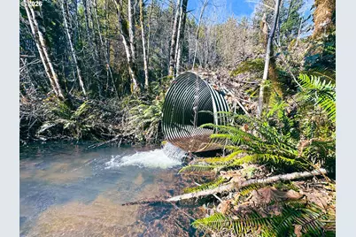 Camp Creek Rd, Springfield, OR 97478 - Photo 44