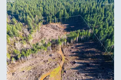 Camp Creek Rd, Springfield, OR 97478 - Photo 8