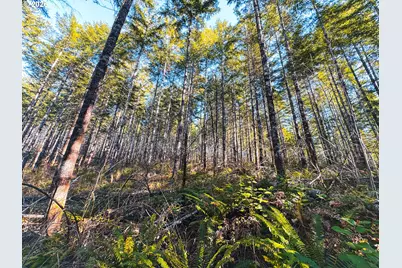 Camp Creek Rd, Springfield, OR 97478 - Photo 36