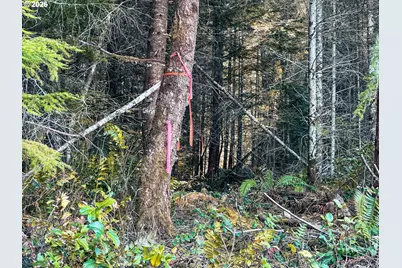 Camp Creek Rd, Springfield, OR 97478 - Photo 22