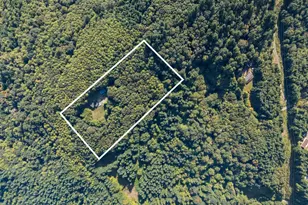 410 Vivian Rd, Kalama, WA 98625 - Photo 10