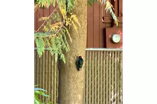 21191 E Country Club Rd, Mount Hood Village, OR 97011 - Photo 16