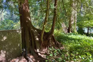 21191 E Country Club Rd, Mount Hood Village, OR 97011 - Photo 44