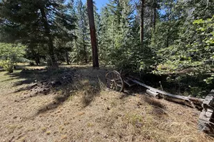 331 Pothole Rd, Goldendale, WA 98620 - Photo 10