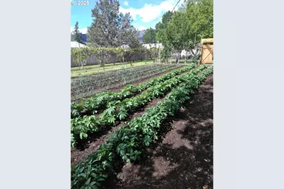 527 S Dewey St, Union, OR 97883 - Photo 16