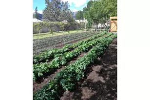 527 S Dewey St, Union, OR 97883 - Photo 16