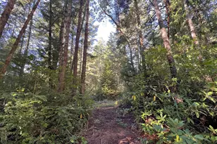 55769 Prosper Jct Rd, Bandon, OR 97411 - Photo 32