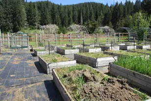 13580 Keasey Rd, Vernonia, OR 97064 - Photo 32