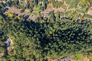 451 Woodruff Mountain Rd, Roseburg, OR 97471 - Photo 44