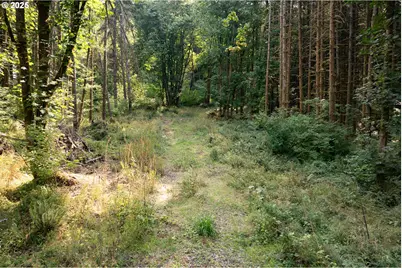 11975 SE Zion Hill Dr, Damascus, OR 97089 - Photo 10