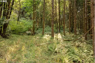 11975 SE Zion Hill Dr, Damascus, OR 97089 - Photo 6