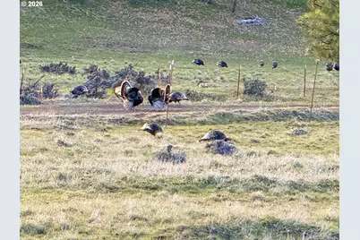 471 Woodland Rd, Goldendale, WA 98620 - Photo 28