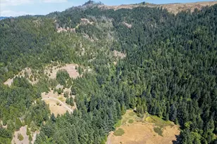 1070 Mystic Mountain Ln, Glide, OR 97443 - Photo 8