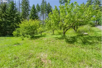 142 Evergreen Springs Ln, Idleyld Park, OR 97447 - Photo 12