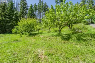 142 Evergreen Springs Ln, Idleyld Park, OR 97447 - Photo 12