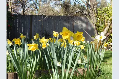 14085 SW Linda Ln, Beaverton, OR 97006 - Photo 42