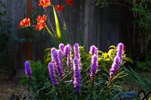 14085 SW Linda Ln, Beaverton, OR 97006 - Photo 44