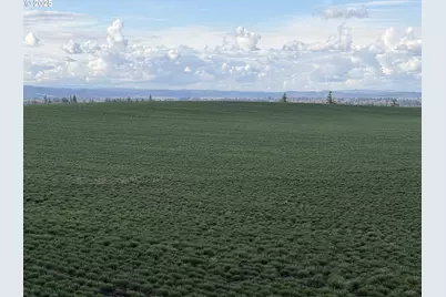 39986 Gisler Rd, Scio, OR 97374 - Photo 6