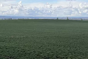 39986 Gisler Rd, Scio, OR 97374 - Photo 6