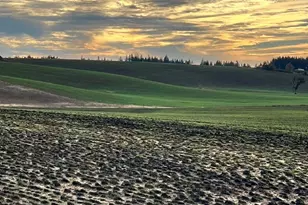 39986 Gisler Rd, Scio, OR 97374 - Photo 8