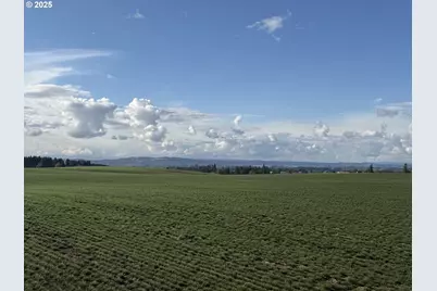 39986 Gisler Rd, Scio, OR 97374 - Photo 38