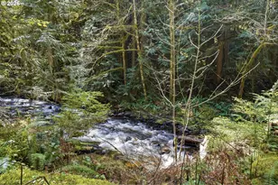 76270 E Road 28, Rhododendron, OR 97049 - Photo 6