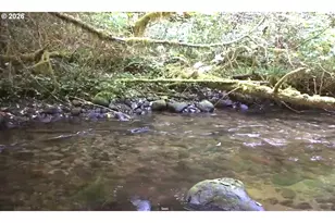 76270 E Rd 28, Rhododendron, OR 97049 - Photo 6
