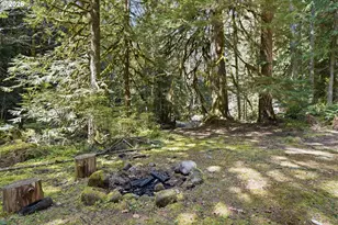 76270 E Road 28, Rhododendron, OR 97049 - Photo 30