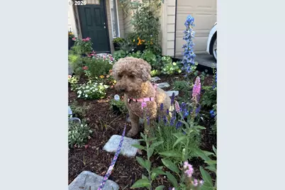 13949 Beavercreek Rd #114, Oregon City, OR 97045 - Photo 4