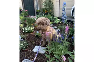 13949 Beavercreek Rd, Oregon City, OR 97045 - Photo 4